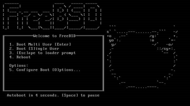 FreeBSD